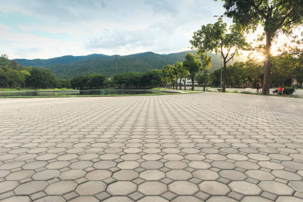 Best Professional Driveway Pavers  in Madeira Beach, FL